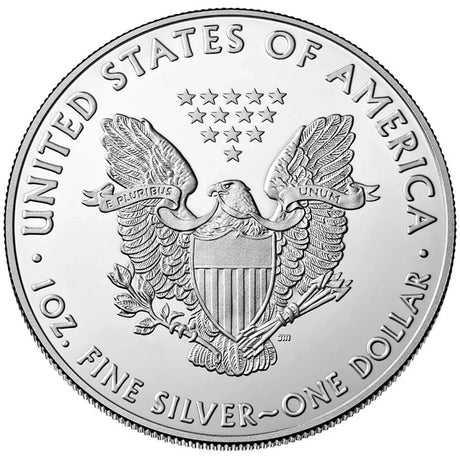 2020 United States Mint Silver Eagles - 1oz - onceuponachild