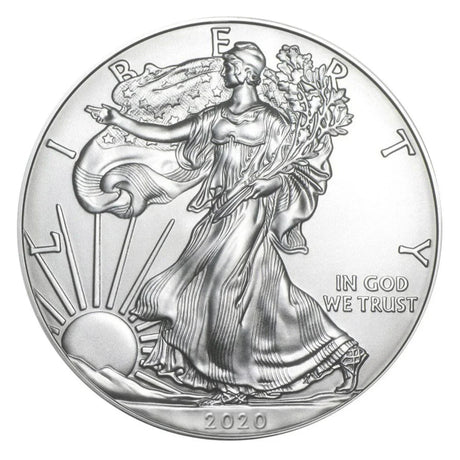 2020 United States Mint Silver Eagles - 1oz - onceuponachild
