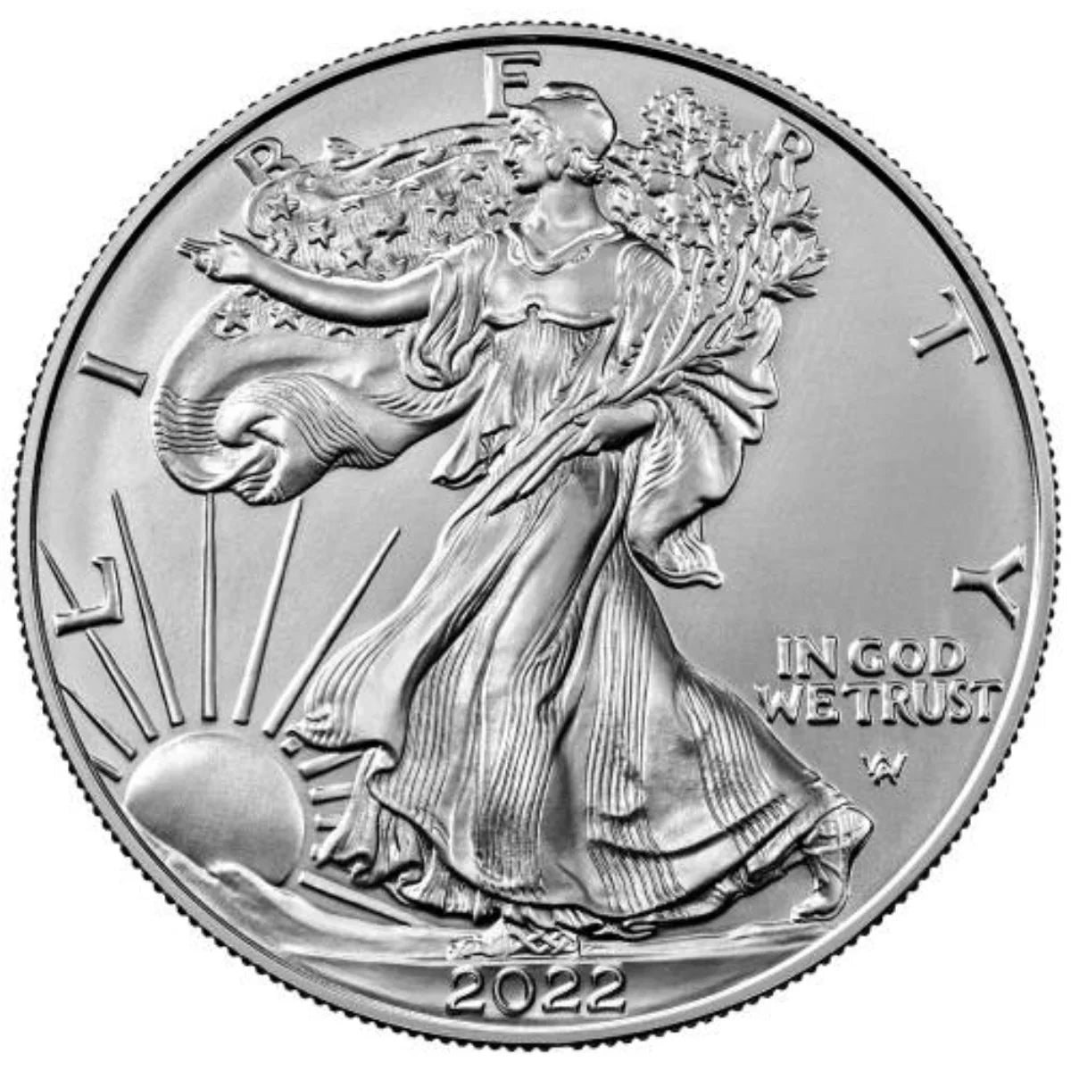 2022 United States Mint Silver Eagles - 1oz - onceuponachild